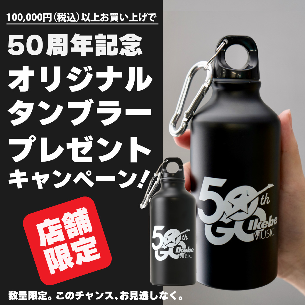 週末までお値下げ　イプ　フラダンス楽器　収納袋付 楽天市場】【楽天週間1位！】健康ジャンル賞受賞【NIPLUX公式