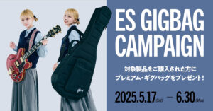 Gibson ES GIGBAG CAMPAIGN