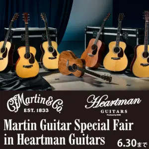 Martin Guitar Special Fair in Heartman Guitars