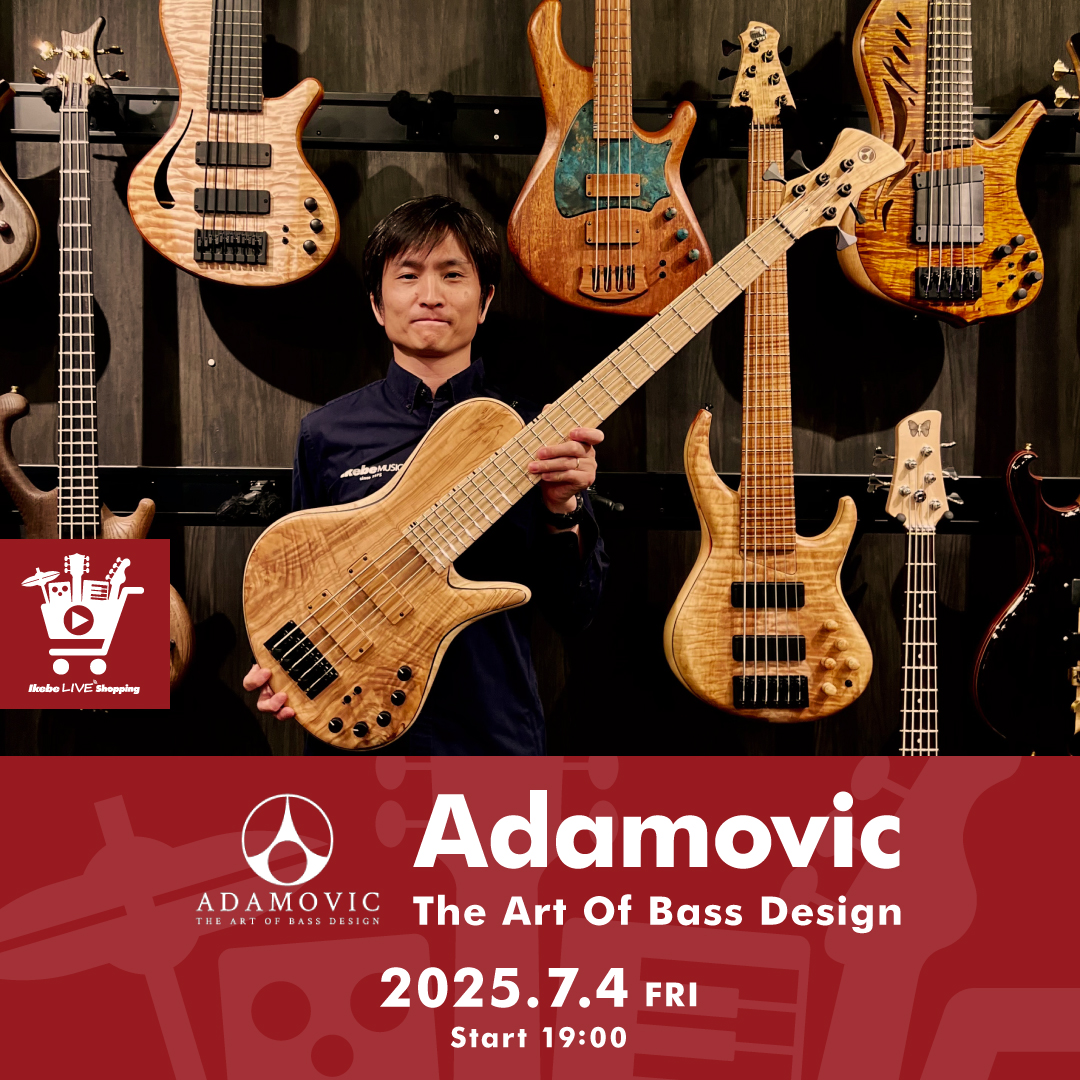 ホビー・楽器・アート Noabee WAV4-AB WAV Violin 4st Amberburst Passive Polar PU system