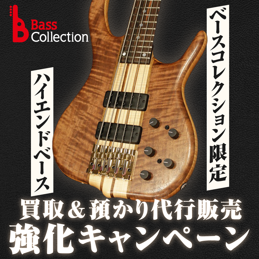 イケベベース専門店の総合情報（ベース低音天国） ｜ Ikebe MUSIC