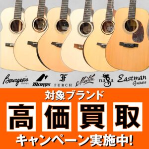 【Finger Style Guitar Fair!! 2025 連動企画】対象ブランド高価買取キャンペーン
