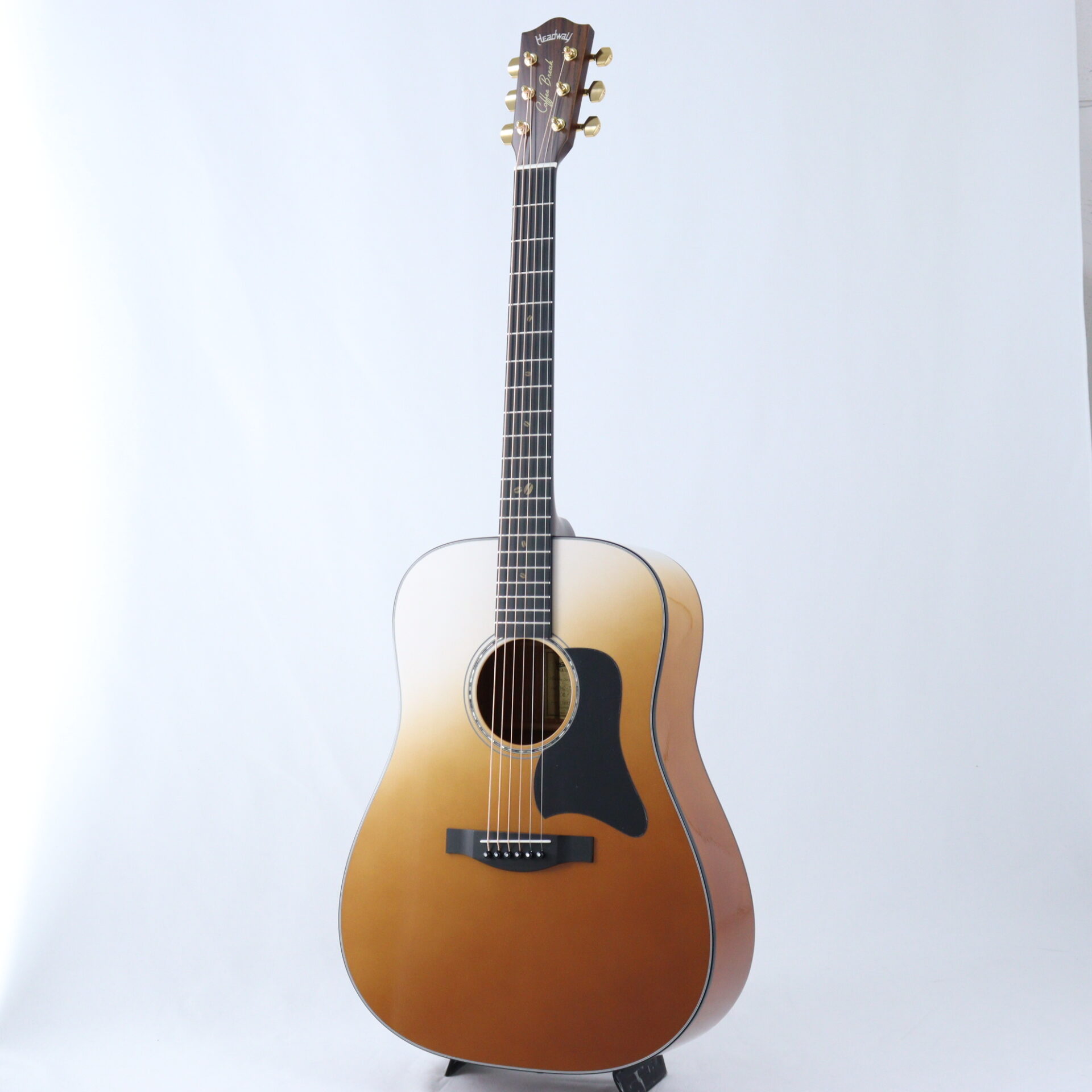 EVENT】HEADWAY ACOUSTIC GUITAR FAIR ｜ Ikebe MUSIC INFORMATION