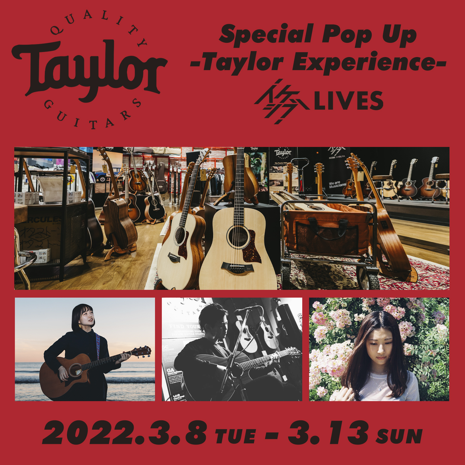 Special Pop Up テイラーギターズ -Taylor Experience- 