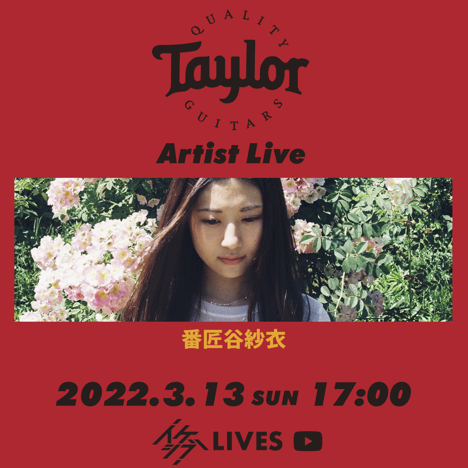 Taylor Guitars Artist Live #9