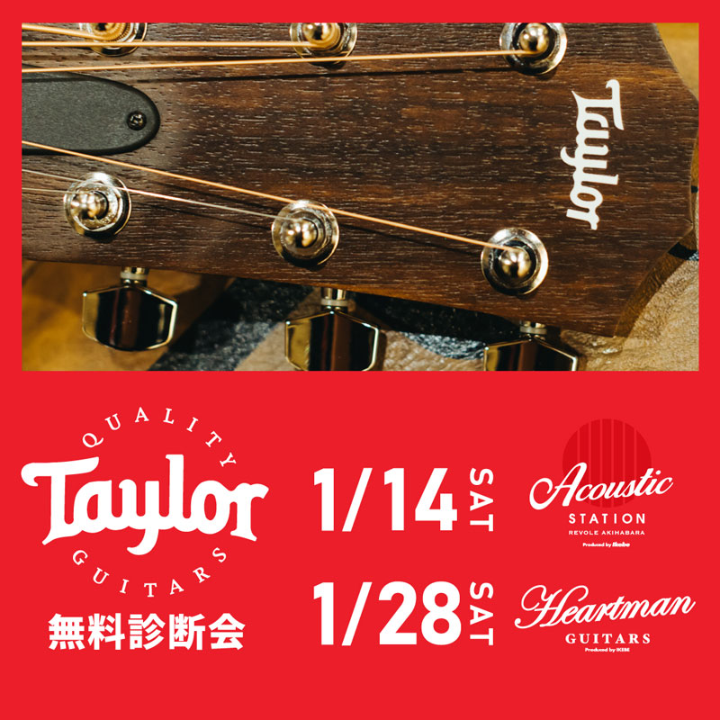 Taylor Guitars 無料診断会