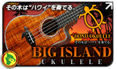 BIG ISLAND UKULELE - その木は“ハワイ”を奏でる