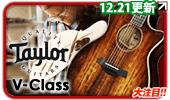Taylor V-Class