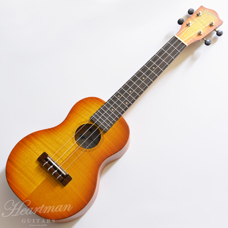 IUF-C40-Curly Maple/TB/01