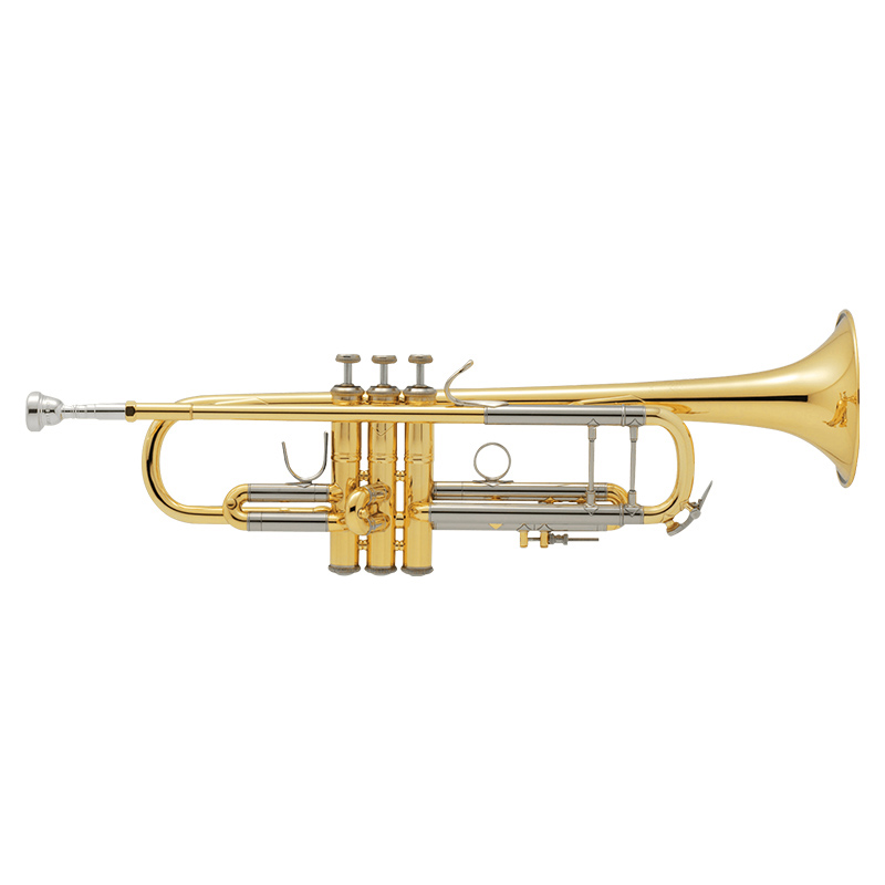 V.Bach Bb管 トランペット 180ML37/25 GL