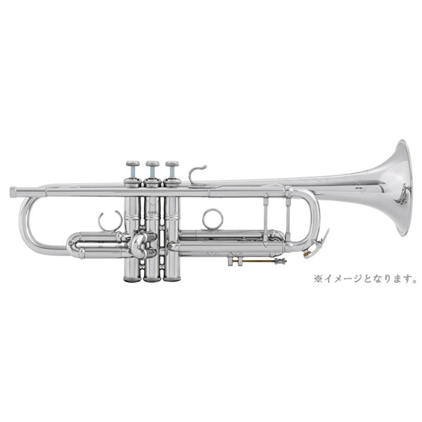 V.Bach Bb管 トランペット AB190 SP