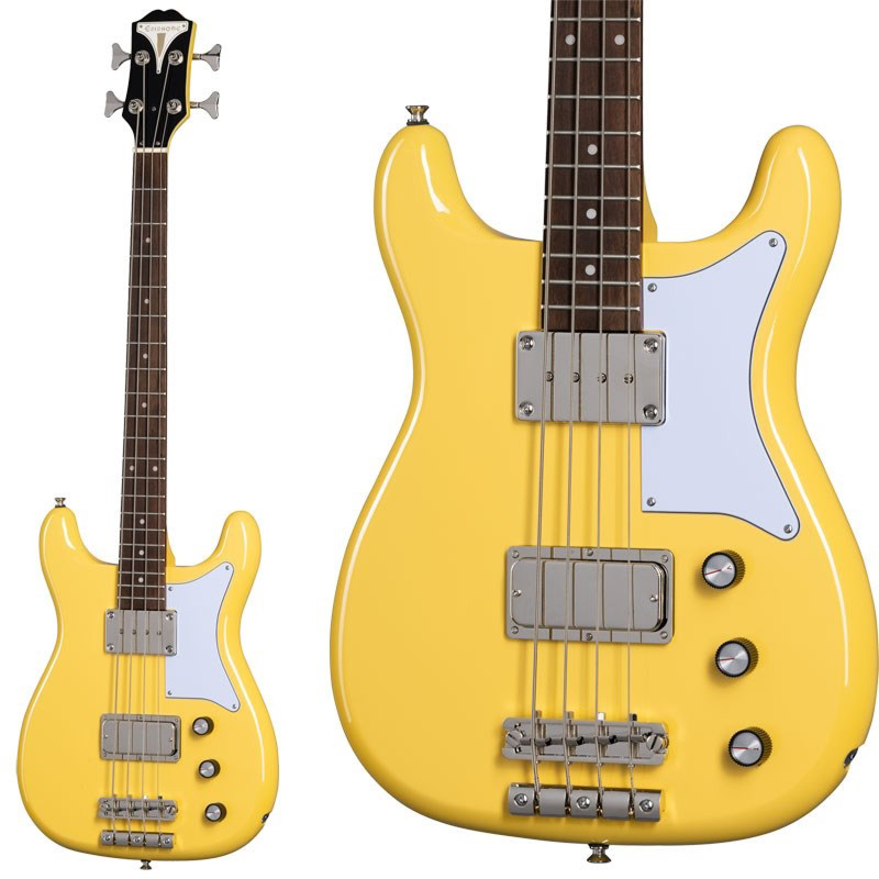 Epiphone Newport Bass