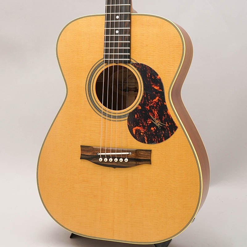 Maton EBG808TE