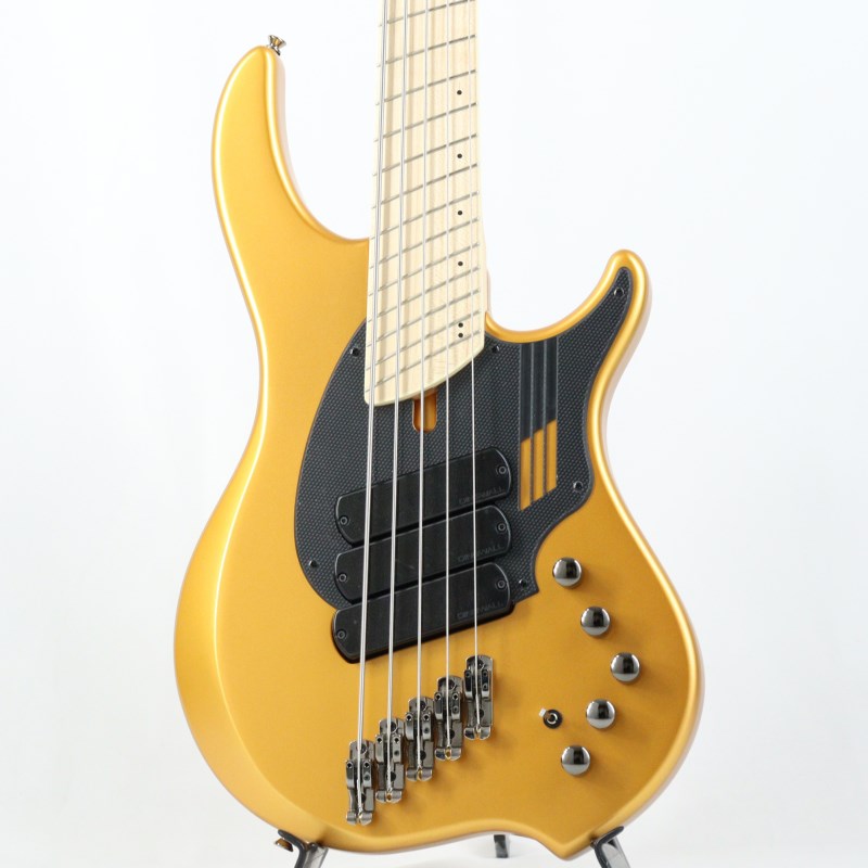 DINGWALL Adam Nolly Getgood Signature NG-3 5st