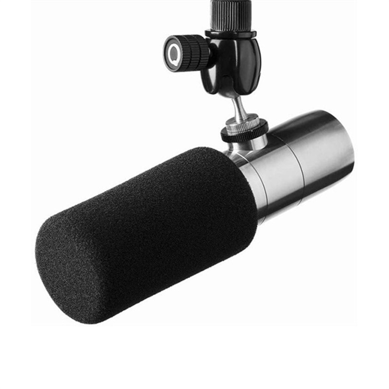 EARTHWORKS コンデンサーマイク ETHOS Stainless Steel