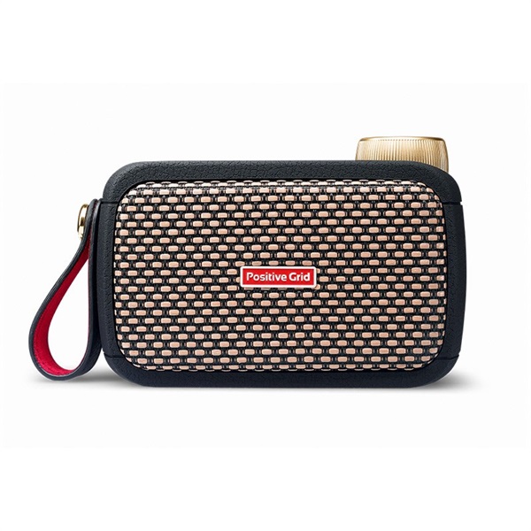 Positive Grid Spark GO