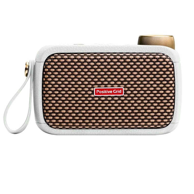 Positive Grid Spark GO Pearl