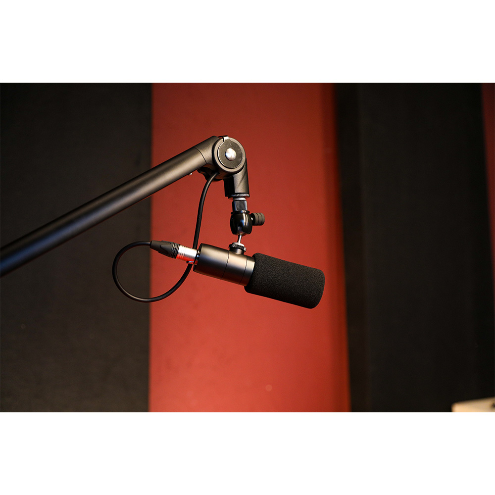 EARTHWORKS コンデンサーマイク ETHOS Matte black (ETHOS B)