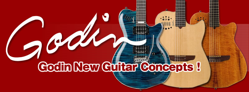 Godin New Guitar Concepts