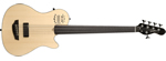 A5 SA Fretless（GK対応）