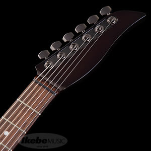 Platinum Black/Wilkinson Sustainer L-250&L-500 Super package '17 Limited Upgrade
