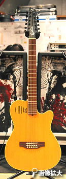 Godin A-12